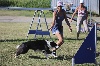  - agility stage